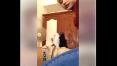 Odtwórz Przyjemna Missy uprawiająca seks na werbalne ze swoim chłopakiem