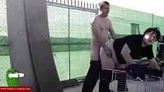Redare El o ia dracută în frecvența roz. raf183