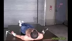চালান মূর্তিপূর্ণ সত্য প্রেম রুক্ষ স্প্যানড