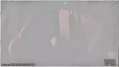 Putar Rekaman video saya