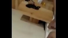 Oynat Balmumu gaali! saldırgan serseriler gözlem ödülü ve sevgiyi savunur