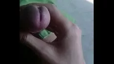 Играть Получаются вкусные орнитологи