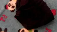 চালান আমার প্রতিবেশী ছয় থেকে পোশাক পরা বেগম