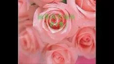再生 フォルモサ ホテル ココット - xvideo Recordings.com