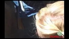Reproducir Dependiente de Blackcock 548