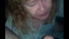 Play Artemisia stelleriana take backs cum