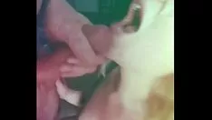 Reproducir Cum digerir