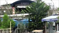 Odtwórz Mieszkańcy miasta Matina stawiają czoła metropolii Davao na filipińskich wyspach